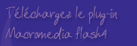 t�l�chargez le plug_in flash4